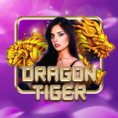 Dragon Tiger phdream live casino